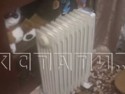 По информации, размещенной в СМИ, о перебоях подачи тепла жителям поселка в Варнавинском районе Нижегородской области организована доследственная проверка (Видео-комментарий)