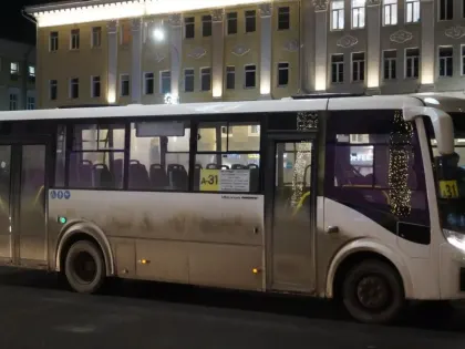 Дошло до Бастрыкина. Почему нижегородцев лишили популярного маршрута А-31?