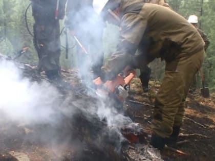 Против пожаров всем миром