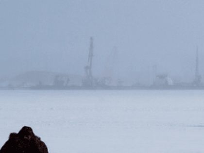 66 мест массового скопления рыбаков на льду зафиксировано в Нижегородской области