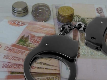 Подруга похитившей 26 млн рублей из банка заявила, что та не увеличивала грудь