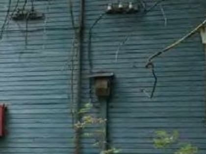 Непрофильный актив ННПО имени Фрунзе выставили на торги в Павловском районе