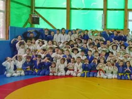 Традиционные сборы по дзюдо в Семёновском районе