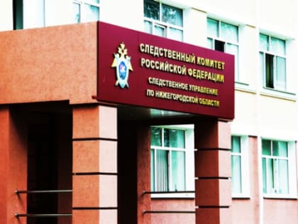 СК завел 2-е уголовное дело из-за попавшей в реанимацию школьницы в Лукоянове