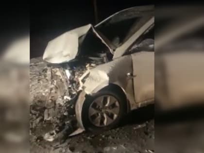 Один человек погиб и пятеро пострадали в ДТП в Арзамасском районе