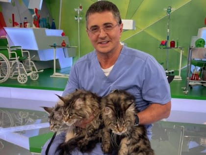 Для всех, кто много сидит: Мясников советует пить это каждый день