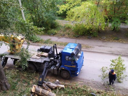 19 деревьев упали в Нижнем Новгороде из-за непогоды