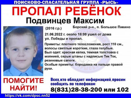 5-летний мальчик ушел от дома и пропал в Борском районе