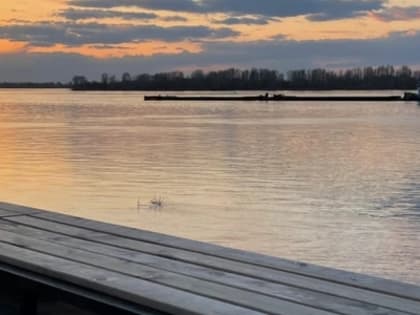 Почти 4 млрд рублей выделила Нижегородская область на «Оздоровление Волги» в 2022 году