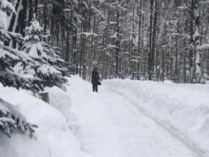 Пасмурную погоду с холодами до -9°C обещают нижегородцам 16 января