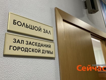 Комиссия нижегородской Думы по бюджету задаст мэру вопрос о списании кредитов