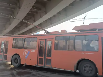«Готовят к уничтожению». Нижегородцы сообщили о беспределе Бастрыкину
