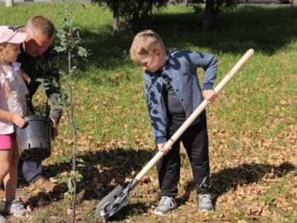 Экологическая инициатива в Дзержинске: озеленение города продолжается