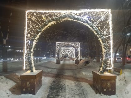Приокский район Нижнего Новгорода украсят 30 новогодних арок
