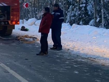 Уголовное дело возбуждено после смертельного ДТП на трассе под Чкаловском