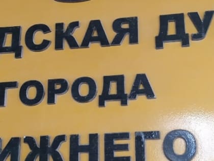 Явка на довыборы в думу Нижнего Новгорода составила 6,88% к 18:00