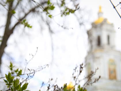 Вдовы священников Нижегородской епархии и многодетные семьи получили бытовую технику в рамках акции «Пасхальные дни милосердия»