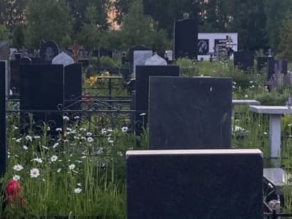 8,2 млн рублей составит убыток МП «Комбинат ритуальных услуг» Нижнего Новгорода за 2022 год