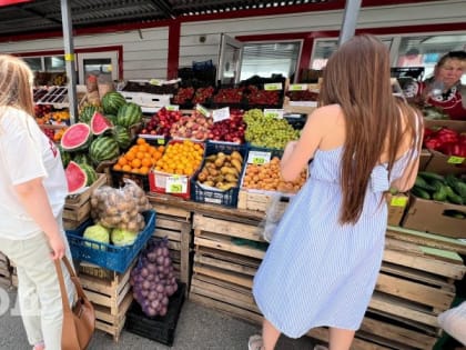 Летние пикники под угрозой: как не стать жертвой пищевых отравлений