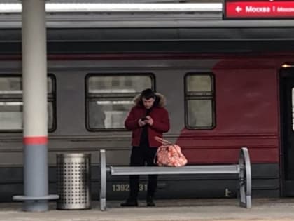 Садовые электрички из Нижнего Новгорода в Павлово и Богородск запустят 18 апреля