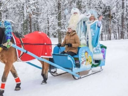 Главную городскую ёлку и ледяной городок откроют в центре Дзержинска 23 декабря
