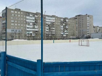 Турнир по дворовому хоккею памяти тренера пройдет в школе №17