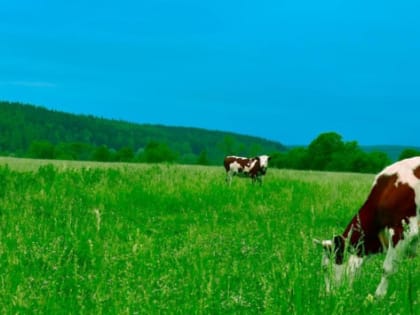 В Нижегородской области на поддержку аграриев направили 6,4 млрд рублей