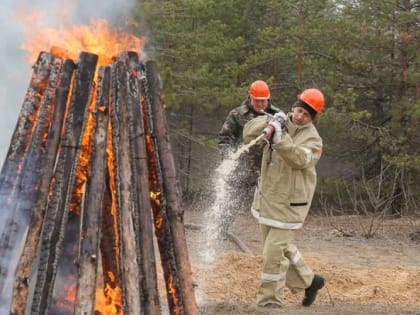 Первый класс пожароопасности лесов установлен на территории Нижнего Новгорода