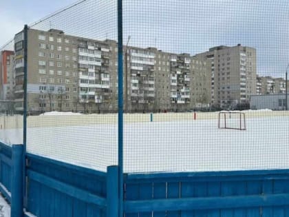 Возродим дворовый хоккей!