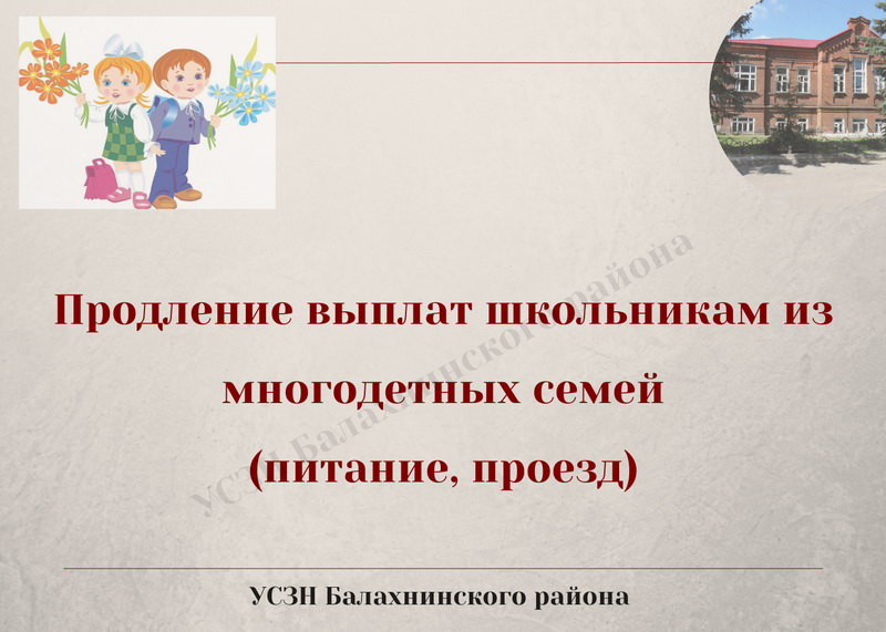 Питание школьников из многодетных семей. Школьники из многодетных семей. Бесплатное питание для школьников из многодетных семей.