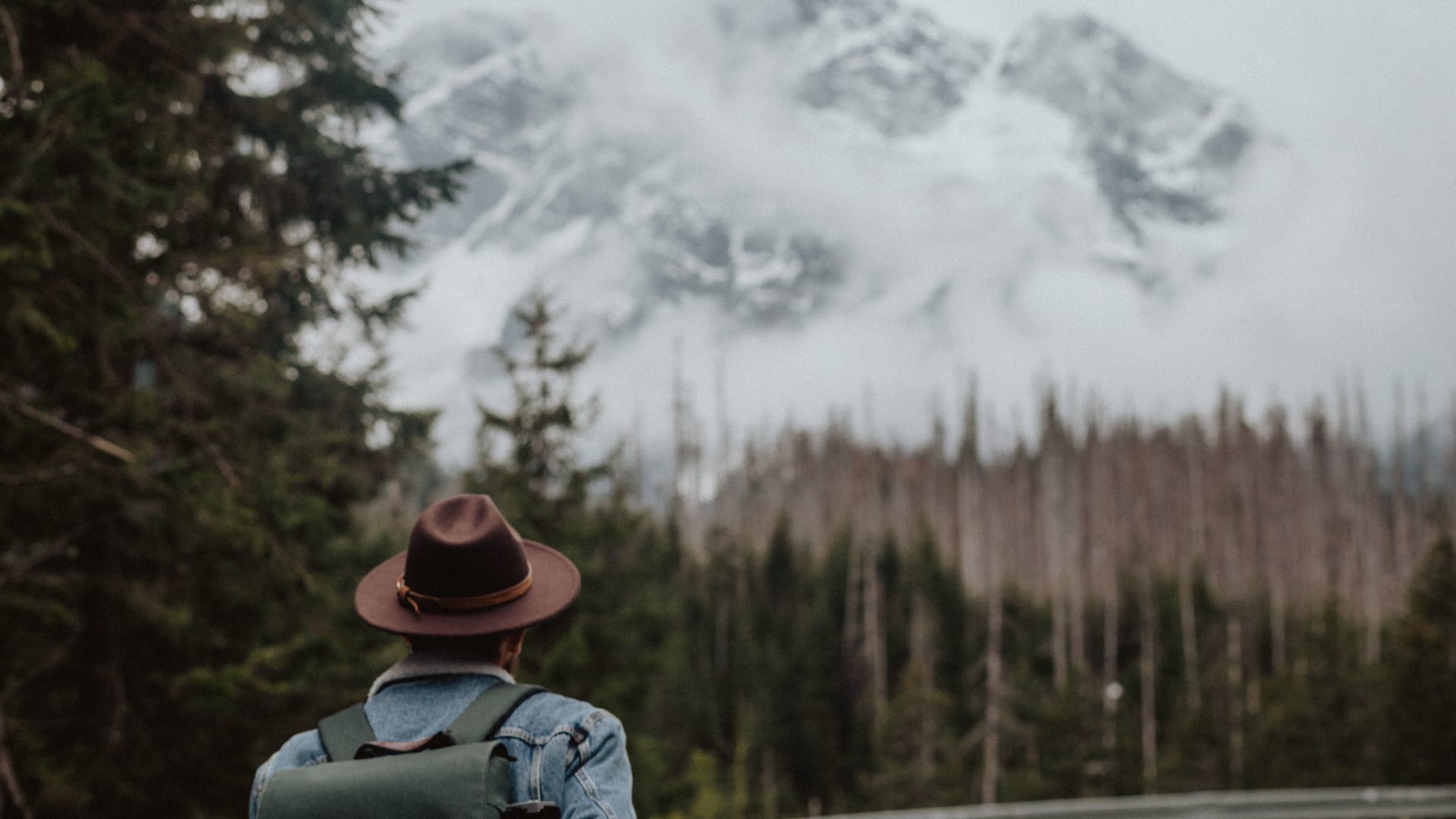 A traveller in a hat looking at misty mountains
