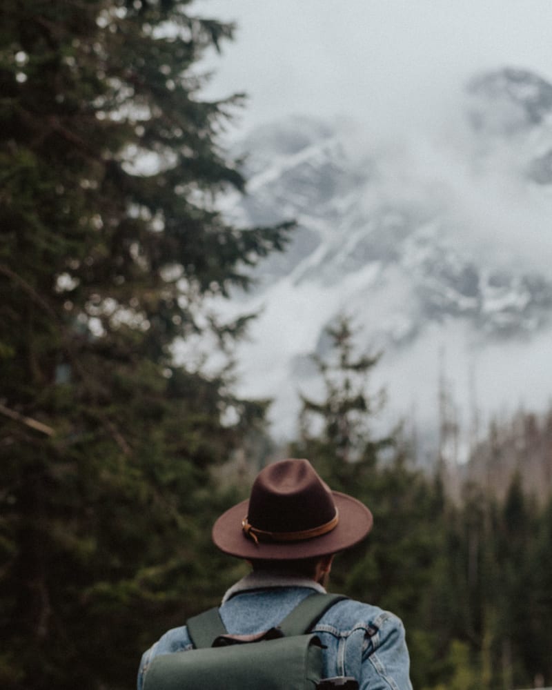 A traveller in a hat looking at misty mountains