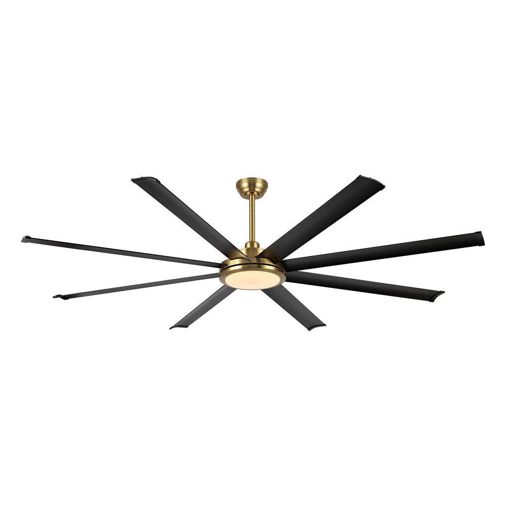 CEILING FANS