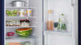 Bosch Bosch COT20B21EI Series 2 Freestanding Fridge — photo 4