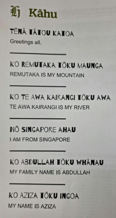 Photo of Aziza | Maori Languge Moment 2021
