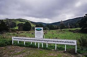 Photo of Phil | Maori Language Moment 2021