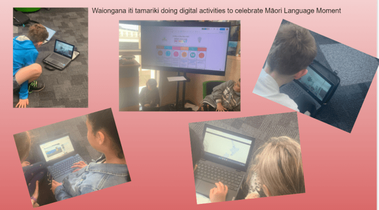 Photo of Mel | Maori Language Moment 2021