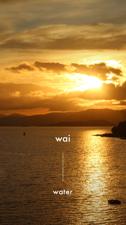 Photo of Georgia | Maori Language Moment 2021