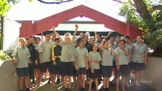 Photo of Te Kauri | Maori Language Moment 2021