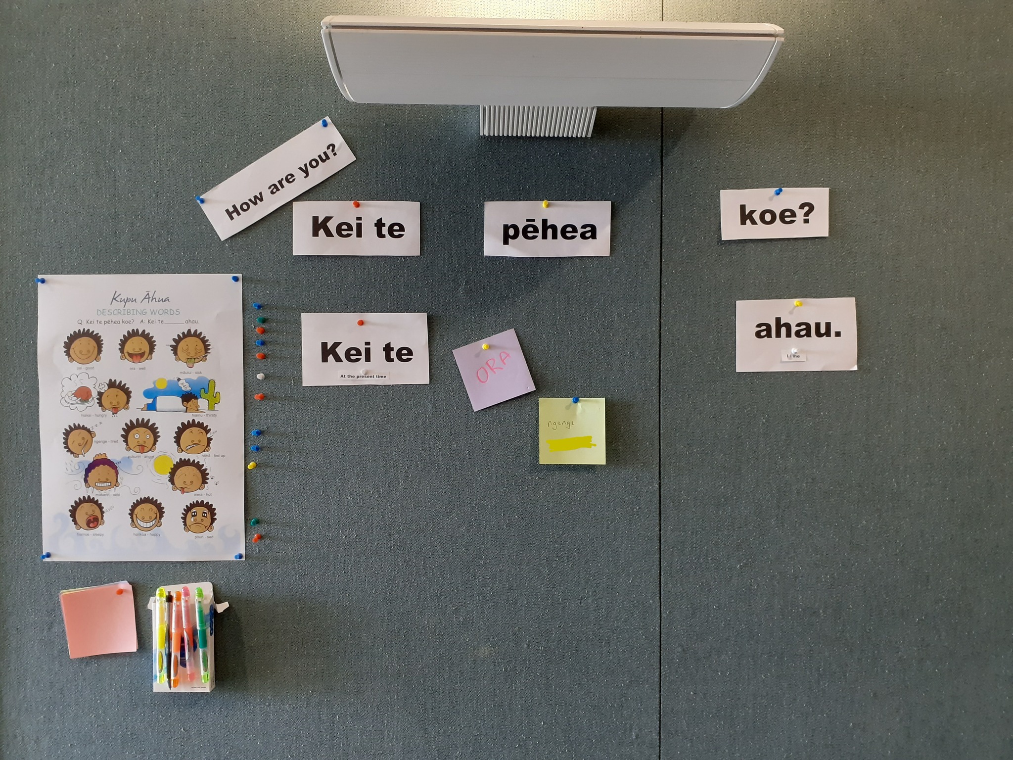 Photo of Tanja | Māori Language Moment 2022