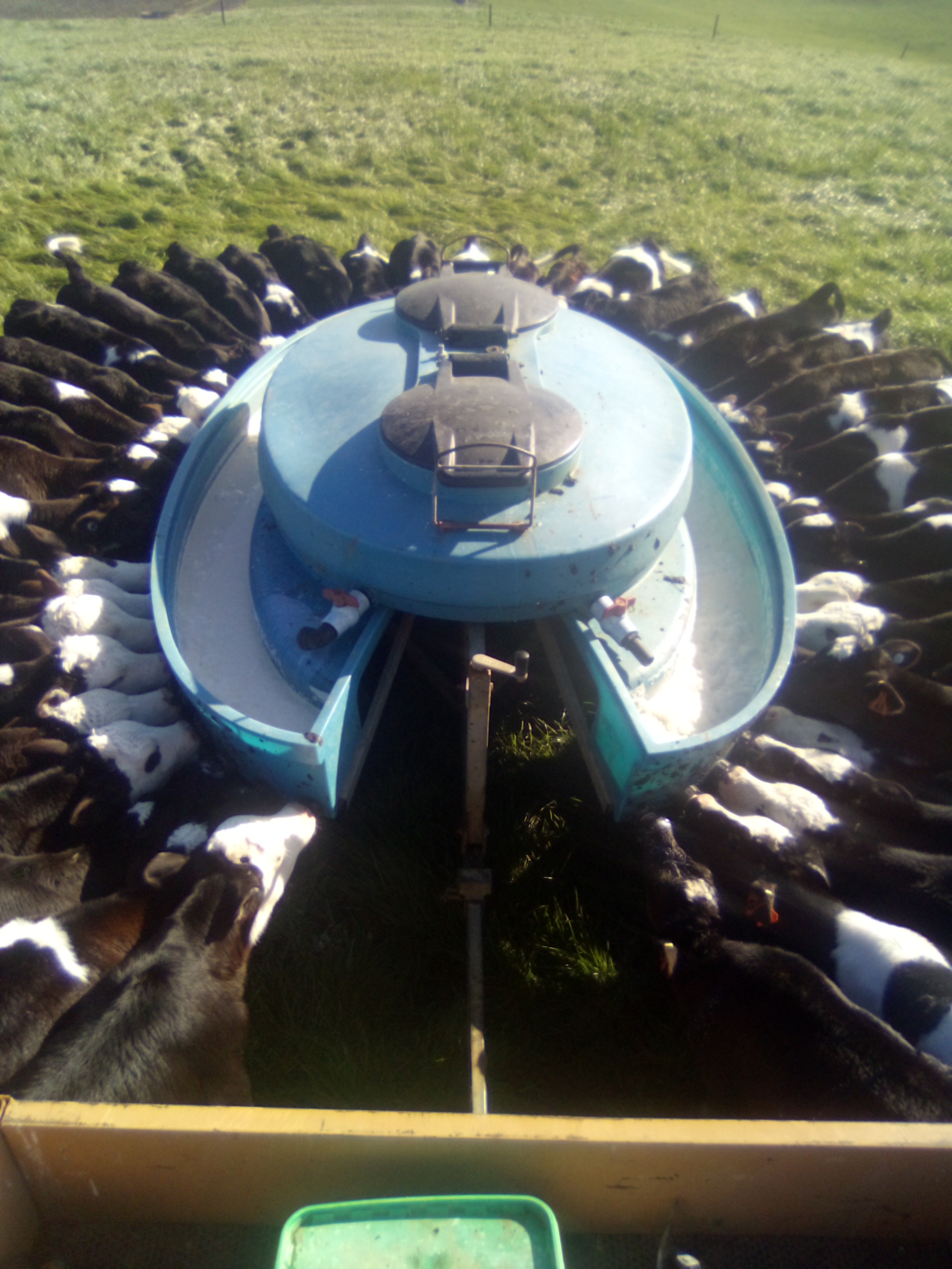 Photo of Ness | Māori Language Moment 2022