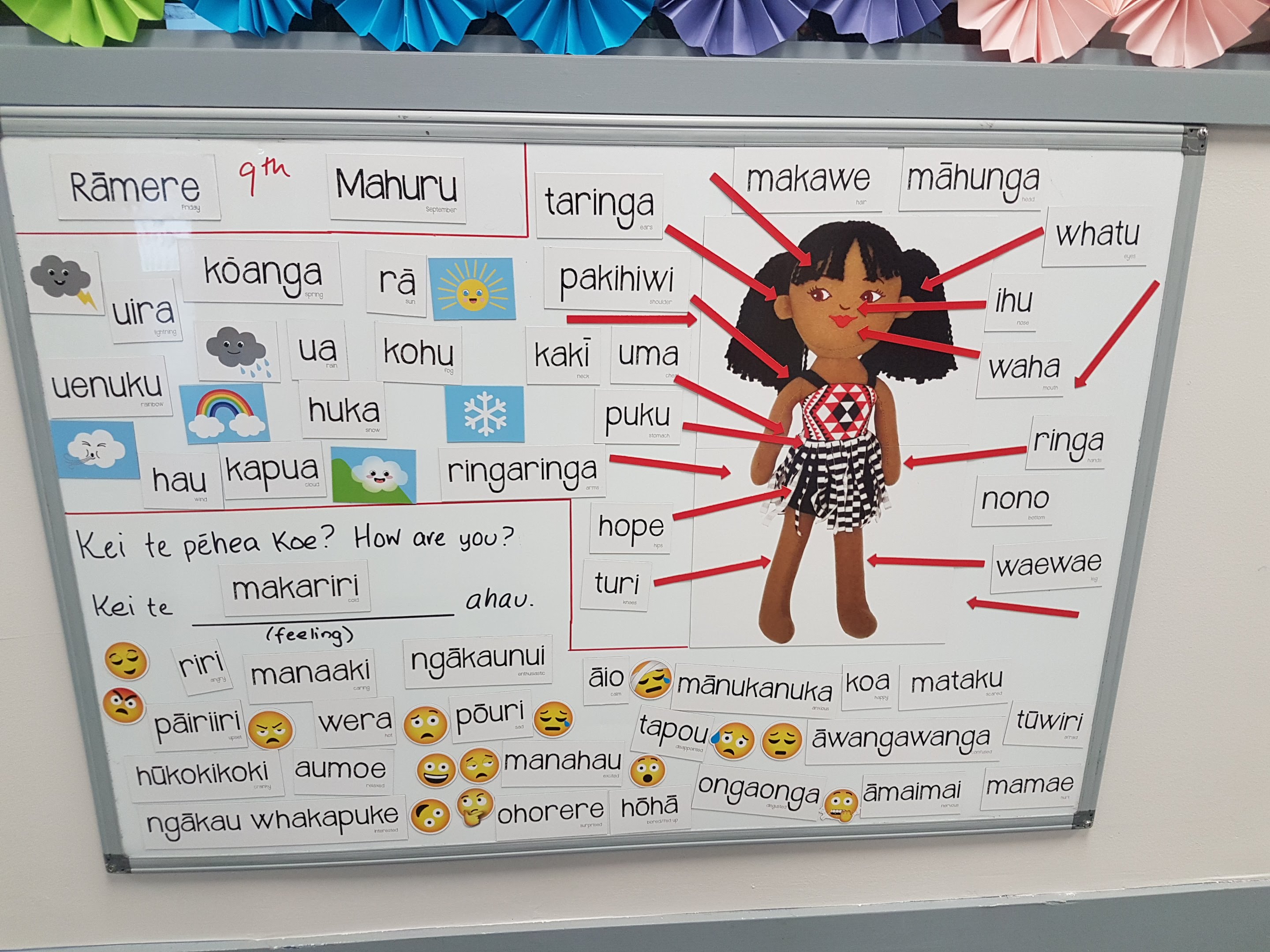 Photo of Sarah | Māori Language Moment 2022