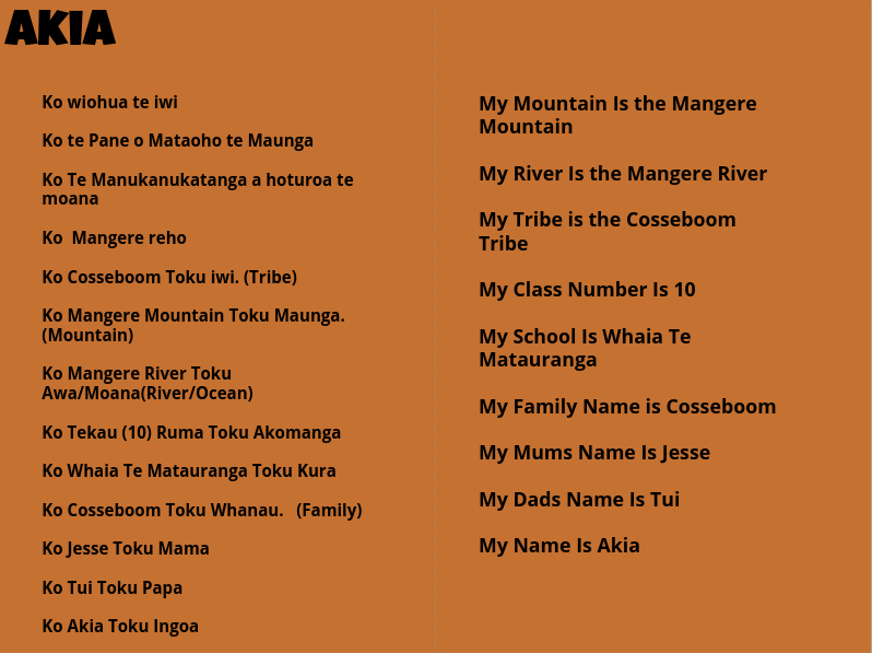 Photo of Akia | Te Wiki o te Reo Māori 2022