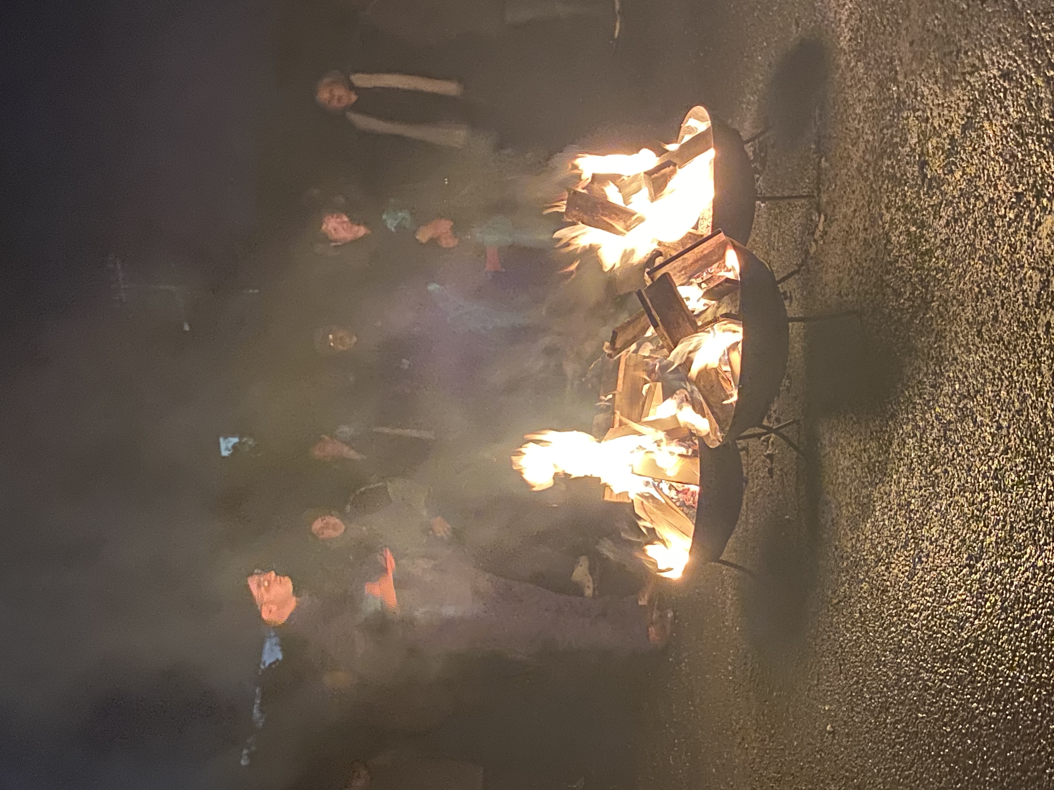 Photo of Ngahuia | Matariki 2023
