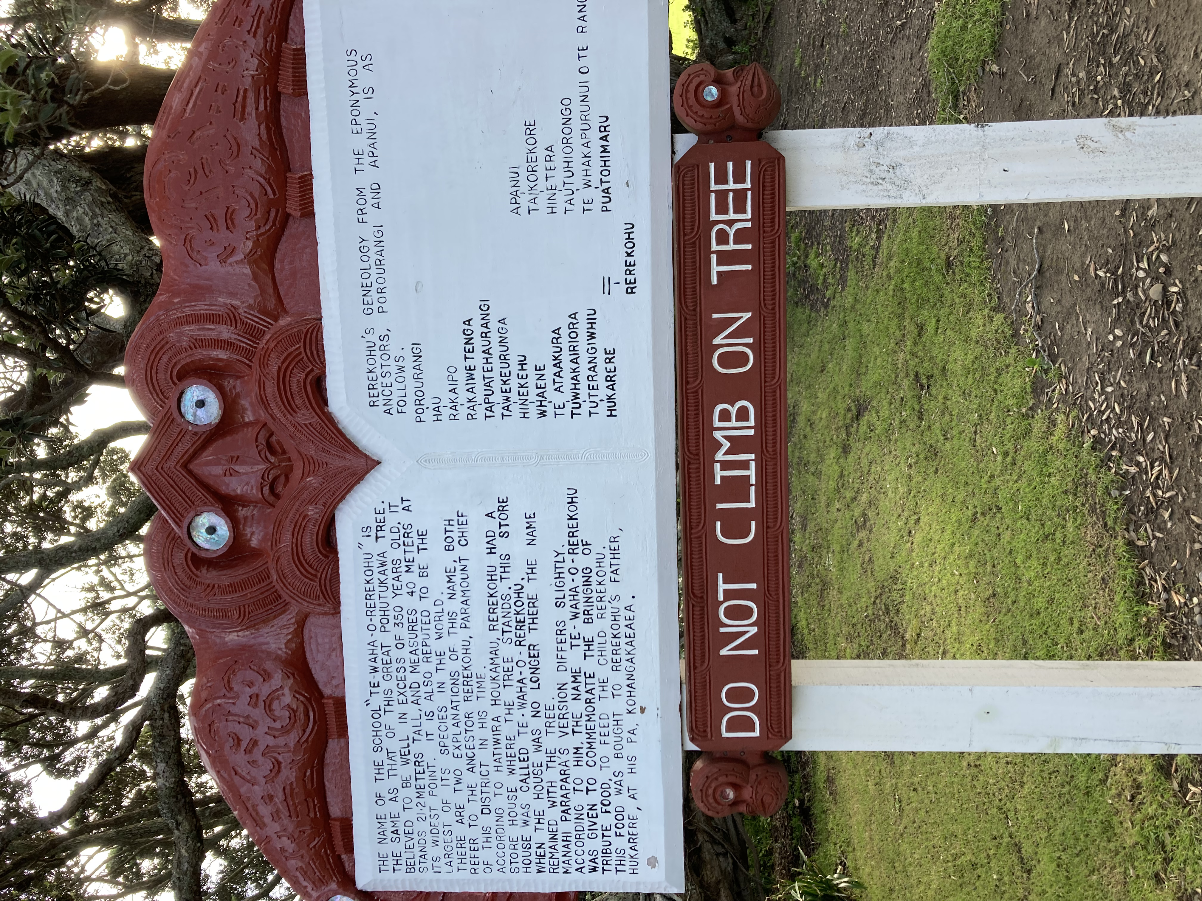 Photo of Shane | Kaikōhau