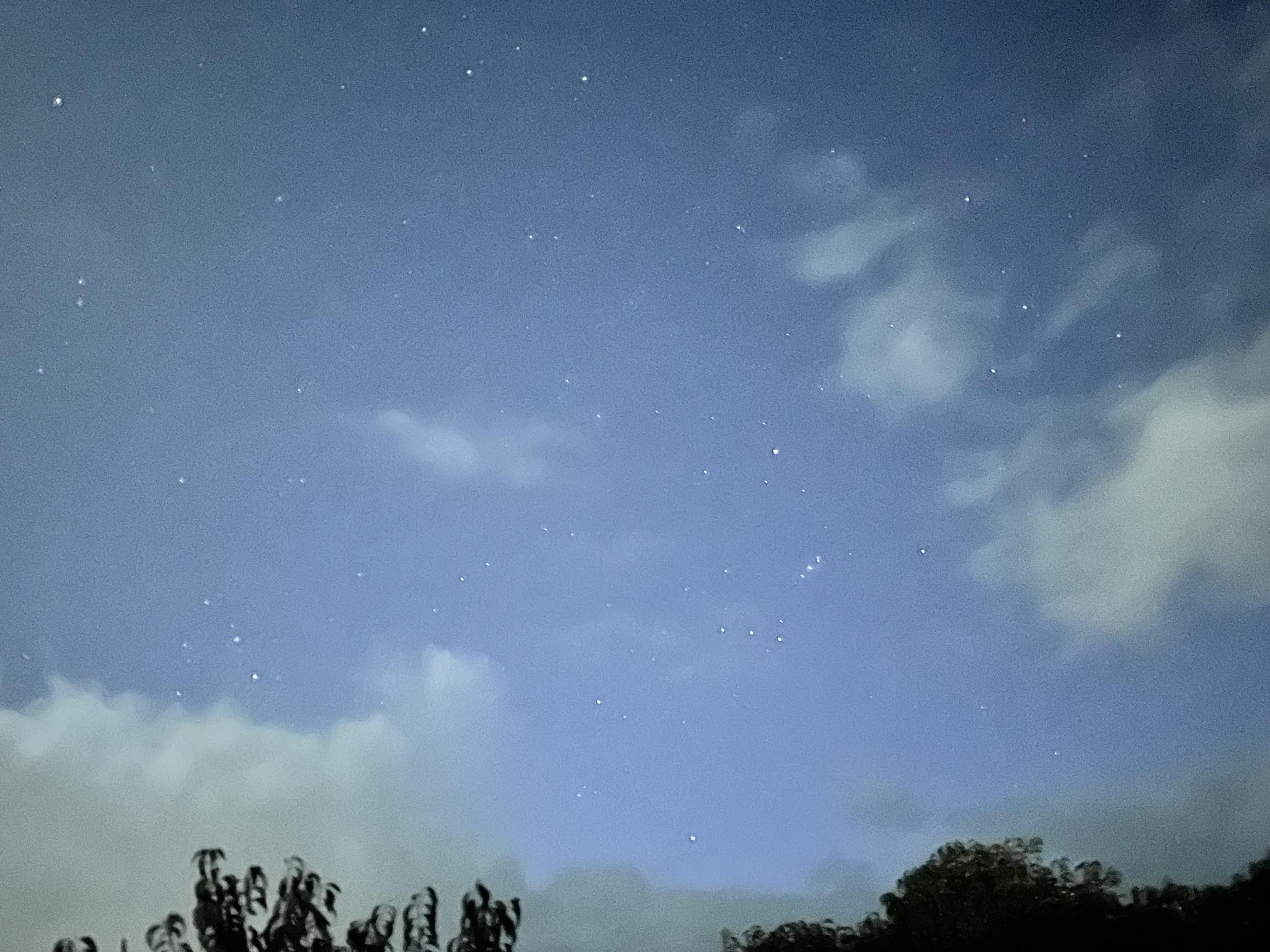 Photo of This morning, myself and a friend travelled to Pukekiwiriki Paa to join the Ngati Tamaoho Trust and their ope to star gaze