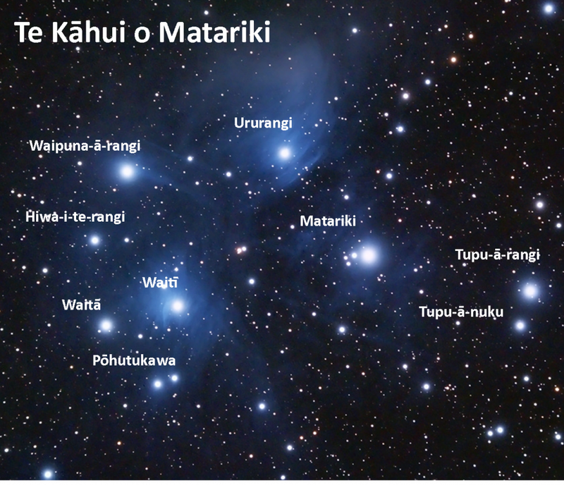Additional photo of Elisapeci Samanunu | Matariki 2023