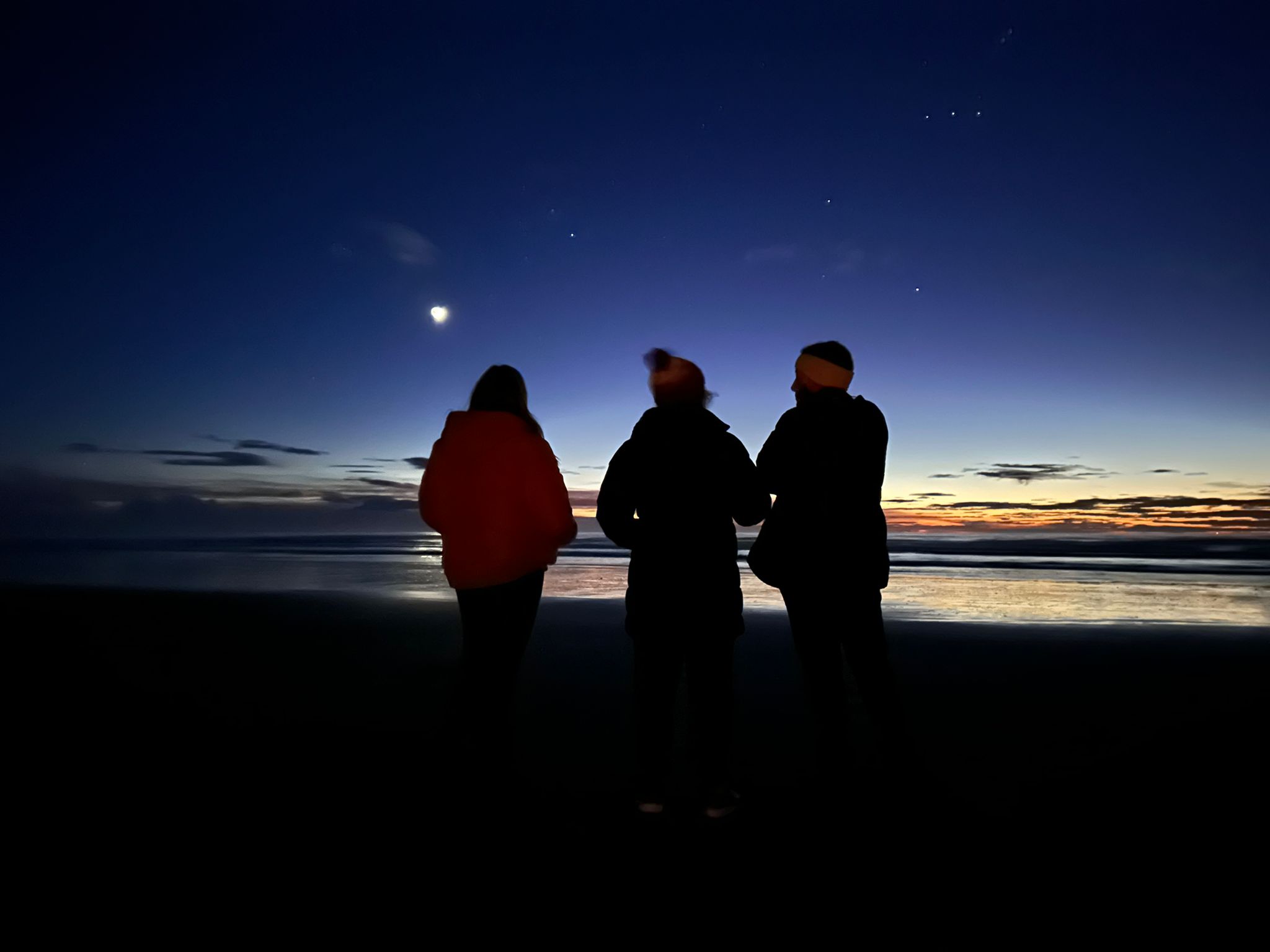 Photo of Michelia | Matariki 2023