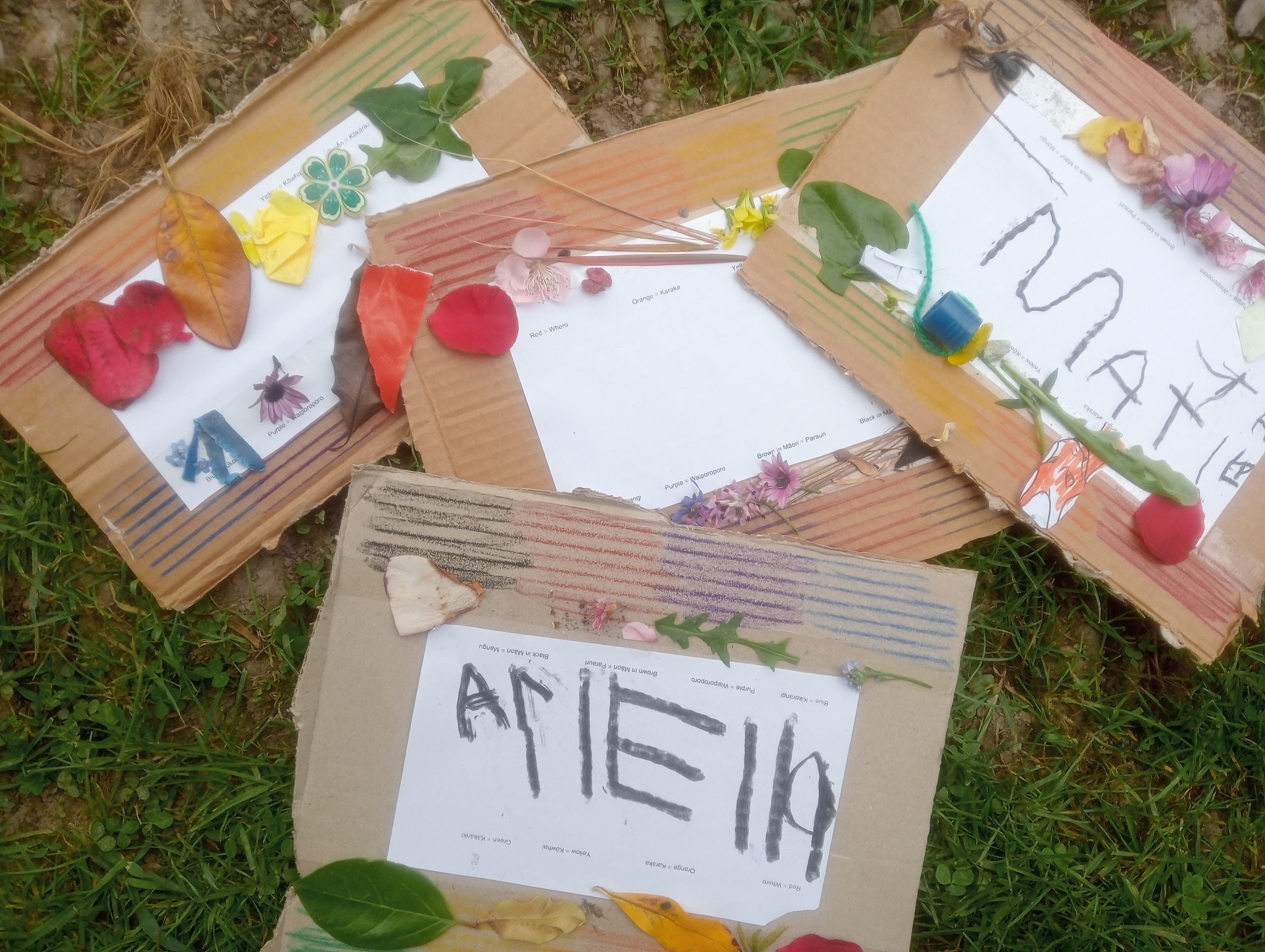 Photo of Kate | Te Wiki 2023