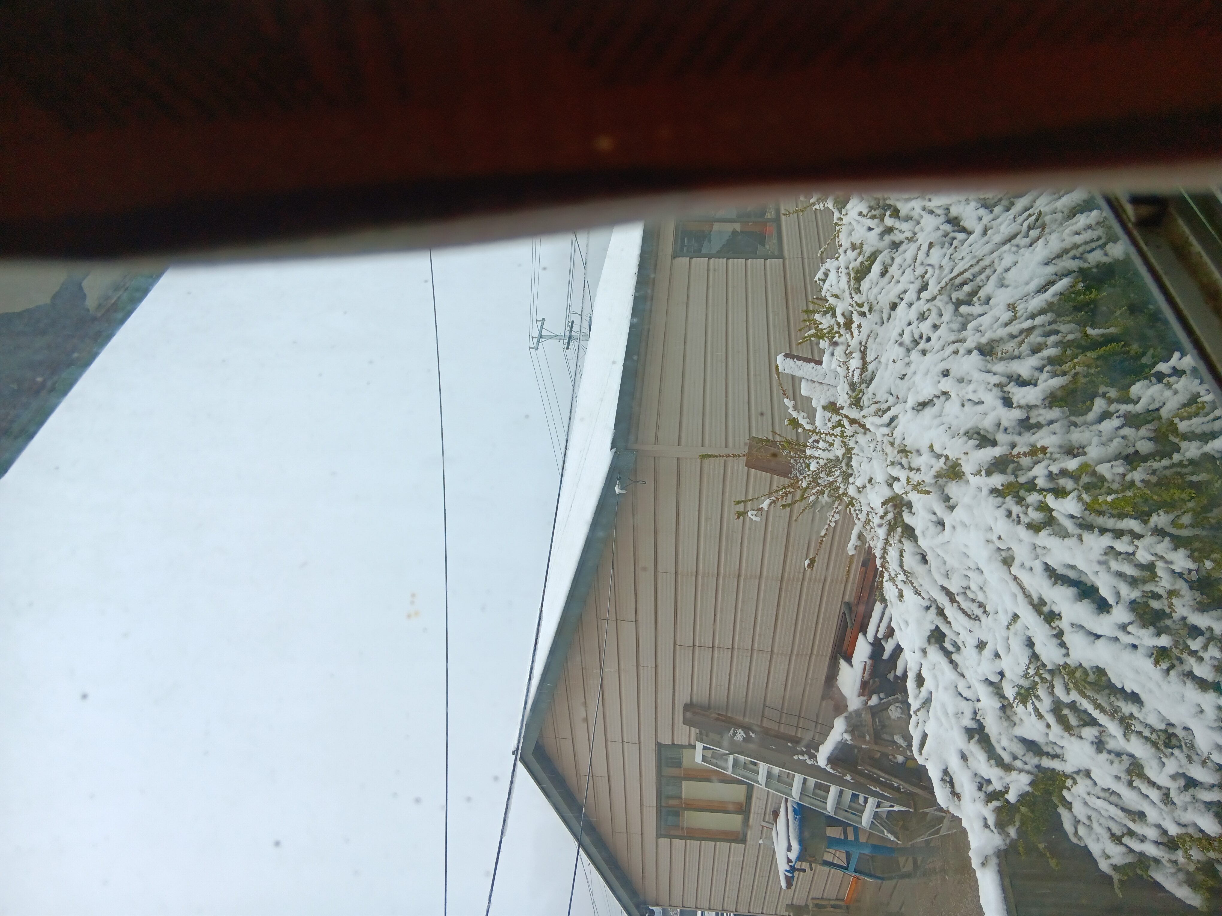 Photo of 